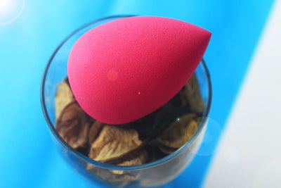 Buff Buddy Beauty Sponge